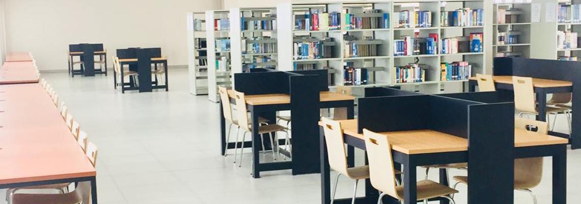library image 2